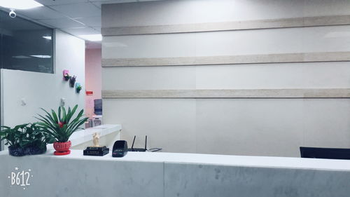 小面积服务式办公室出租，一价全包，助力上海广告设计企业高效办公